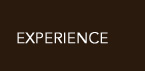 Experience